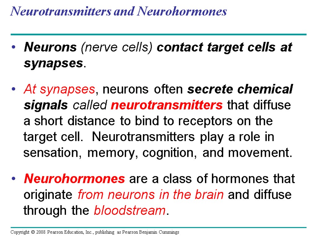 Neurotransmitters and Neurohormones Neurons (nerve cells) contact target cells at synapses. At synapses, neurons